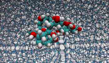 Solving the Puzzle of Polymers Binding to Ice for Biological Cryopreservation