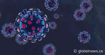 Saskatchewan’s death toll at 409; 66 more coronavirus variant cases