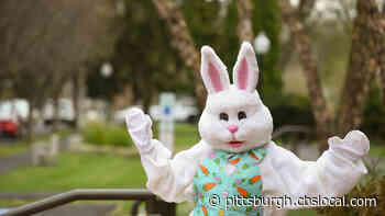 Easter Bunny Coming To The Westmoreland Mall