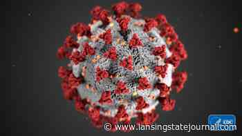 Grand Ledge schools report 47 coronavirus cases, at least two a variant - Lansing State Journal
