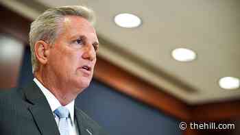 GOP leader calls out House Democrat for troop 'stunt'