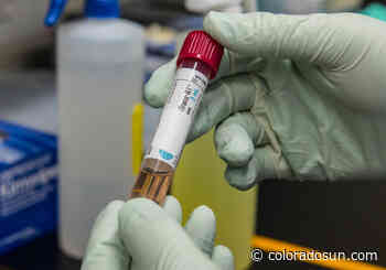 Colorado is beginning to see the benefits of coronavirus vaccinations in case rates, health officials say - The Colorado Sun