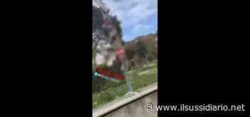 Ardea, impicca gatto al palo e affigge cartello/ 'Non stuprate': video choc su social - Il Sussidiario.net