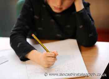 Warning as kids targeted for 'pyramid scheme'