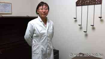 'Powerhouses in our neighbourhoods': Migrant-run small businesses an economic and social boon, report finds