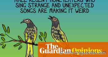 The regent honeyeater is forgetting how to sing | First Dog on the Moon