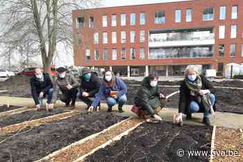 Den Hof zoekt nog groene vingers die met kwetsbaren ecologisch willen tuinieren - Gazet van Antwerpen