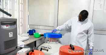 These scientists are already on the hunt for the next pandemic