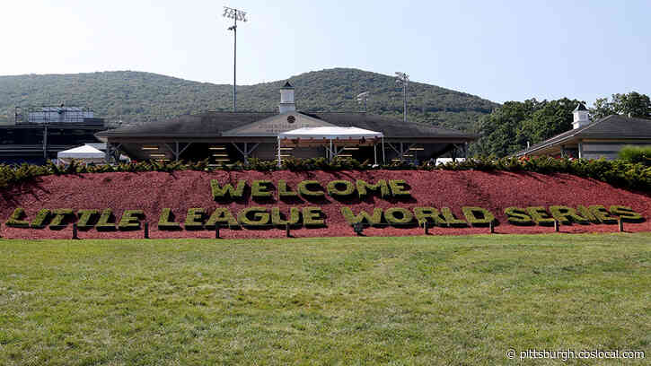 Play Ball: Little League World Series Hopeful To Hold Tournament Season