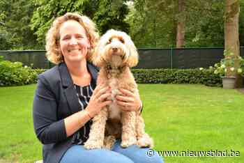 Allegro Kids beste starter in coronajaar (Kalmthout) - Het Nieuwsblad