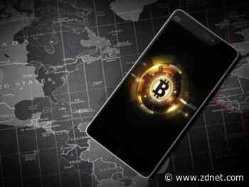 ‘Bit-Con’ Twitter teen hacker accepts plea agreement, three years behind bars