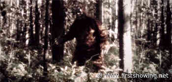 First Trailer for Hulu's New 'Sasquatch' Documentary About Bigfoot