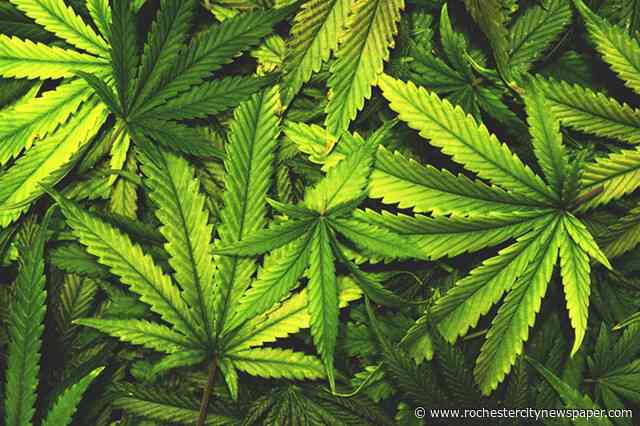 State 'close' to marijuana legalization, Assembly speaker says