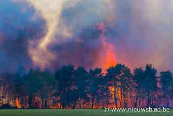 Kempense brandweerkorpsen kenden druk en turbulent 2020