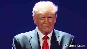 Trump's net worth dropped by $700 million during presidency: report