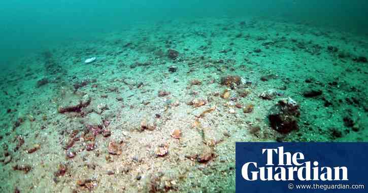 Bottom trawling releases as much carbon as air travel, landmark study finds