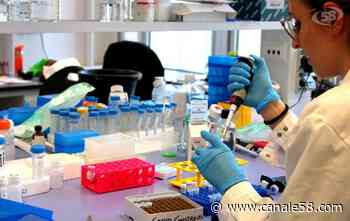 10 a Fontanarosa e Solofra, 17 a Serino. Bollettino, 145 casi - Canale 58