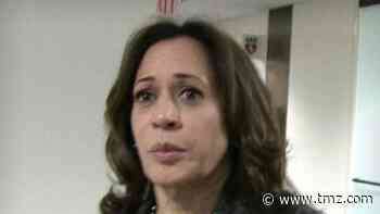 Man Arrested Outside VP Kamala Harris' Home, Cops Say He Had Gun and Ammo