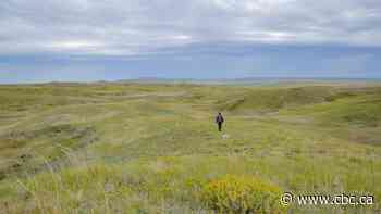 Sask. Indigenous, environmental groups call for halt to public land selloff