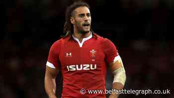 Josh Navidi enjoying playing for Wales again after injury problems