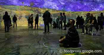 Immersive Van Gogh wows in 65 million pixels     - CNET
