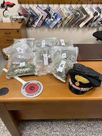 In manette per possesso 2 kg di “erba”, il giudice non convalida l'arresto - L'Inchiesta Quotidiano OnLine