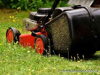 Taglio erba nei parchi e nelle aree verdi cittadine - sassuolo2000.it - SASSUOLO NOTIZIE - SASSUOLO 2000