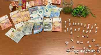 Napoli, tra l'erba di un'aiuola un barattolo pieno di cocaina: preso spacciatore - Il Mattino