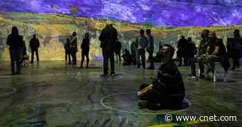 Immersive Van Gogh wows in 65 million pixels     - CNET