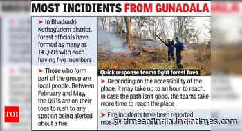 Forest fires in Kothagudem keep officials on their toes - Times of India