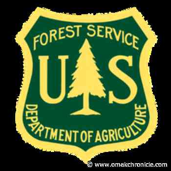 Forest improvement projects sought | | omakchronicle.com - Omak Okanogan County Chronicle