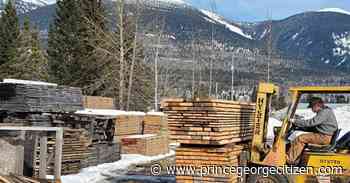 Funding will help community forest pull more value from fewer logs - Prince George Citizen