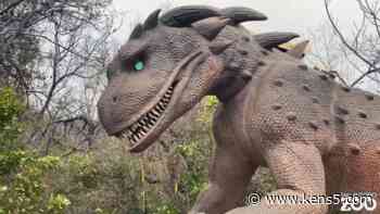 Check out the 'Dragon Forest' at the San Antonio Zoo - KENS5.com
