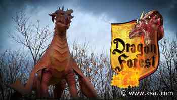 New Dragon Forest experience opens at San Antonio Zoo - KSAT San Antonio