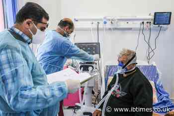 Covid reinfection rare, more common over 65: study