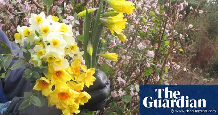 Country diary: strawberry fields, gone for ever