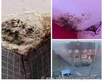 Family with disabled children stuck in damp Clayton-le-Moors home