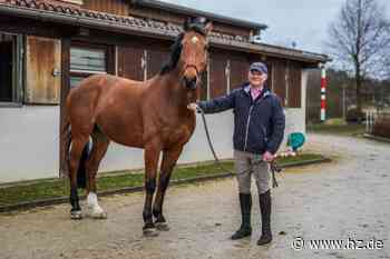 Reit- und Fahrverein Giengen: Vorsitzender Joachim Roske: „Jedes verkaufte Schulpferd ist ein Verlust für den Reitsport“ - Heidenheimer Zeitung