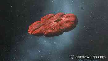No cigar: Interstellar object is cookie-shaped planet shard