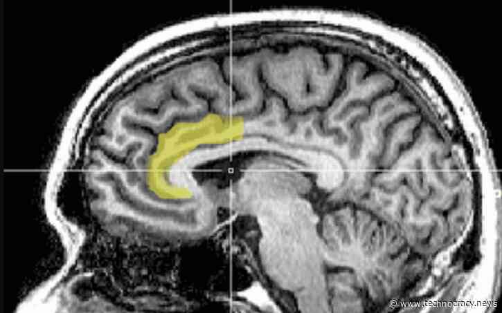 The Mind Of A Technocrat: Cognitive Dissonance And Narcissism On Steroids
