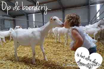 Nieuwe FarmFun vestiging in Geel en Aalter