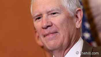 Mo Brooks teases Senate announcement with Stephen Miller