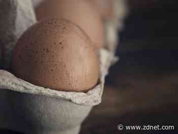 Apple developers targeted by new malware, EggShell backdoor