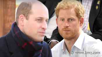 Prince William Worried His Talks with Harry Will Go Public, Lacks Trust