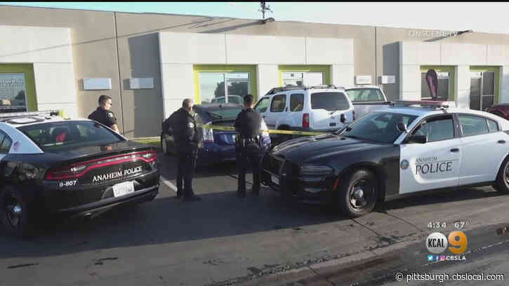 Apparent Catalytic Converter Thief Crushed To Death By Collapsing Car