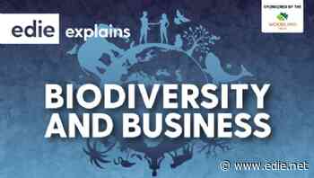 What is the role between business and biodiversity? Access edie's new Explains guide