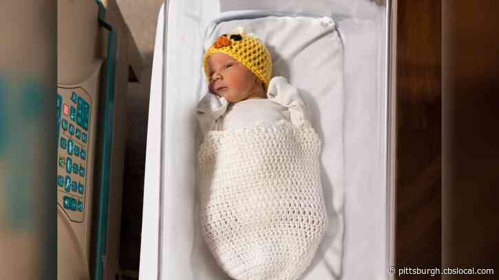 Newborn Babies At UPMC Dress Up In Chick Costumes For Spring-Themed Photoshoot