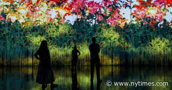 Up to My Eyeballs in Art at Superblue