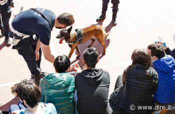 Modena, cane antidroga va al liceo e fa il pieno di... coccole - DIRE.it - Dire