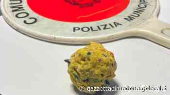 Modena. Villaggio Giardino, bocconi coi chiodi Segnalazioni anche in altre tre zone - La Gazzetta di Modena